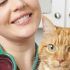 L’assurance pour animaux domestique