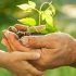 Top 5 des habitudes pour économiser et avoir moins d’impact sur l’écologie